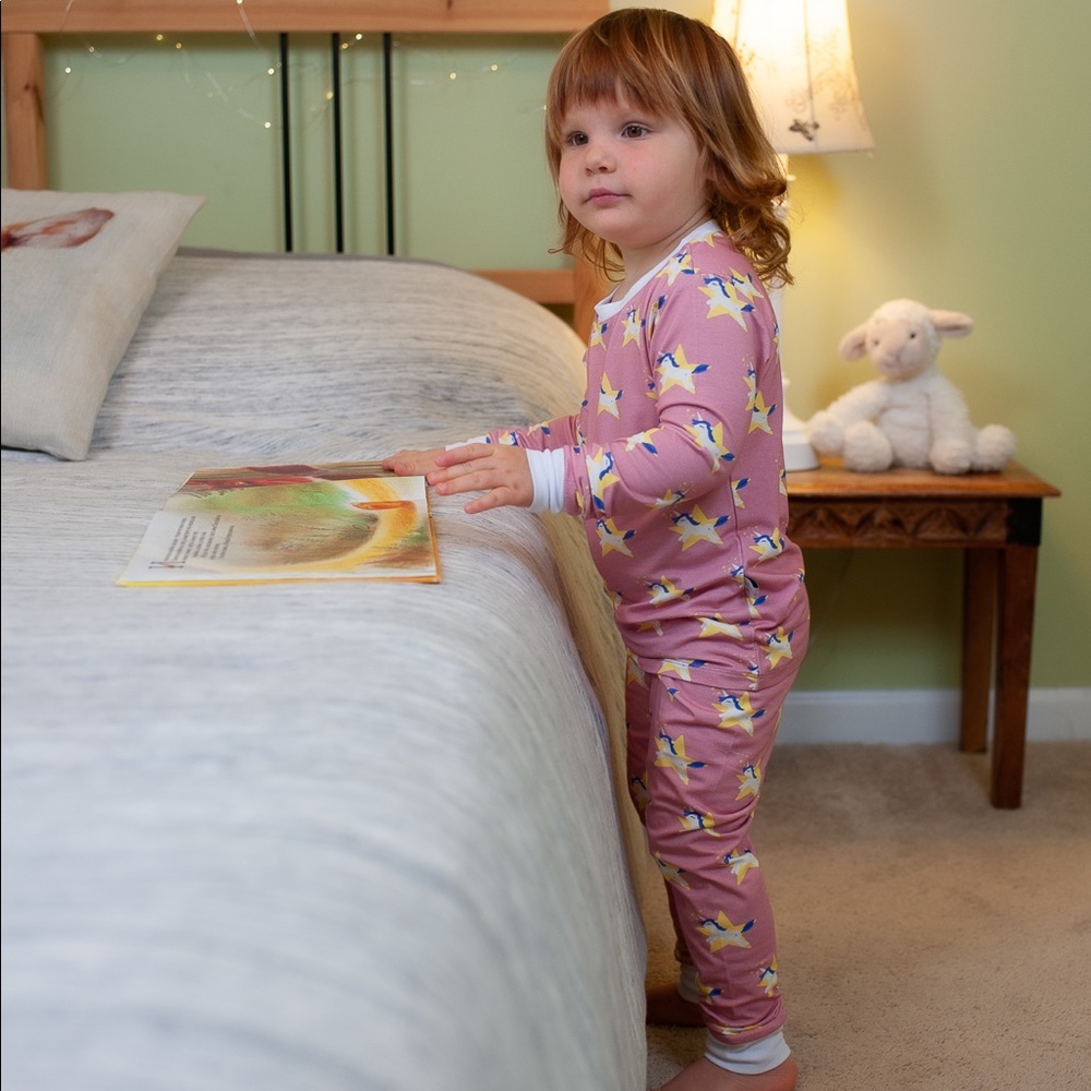 Unicorns long sleeves bamboo cotton pajamas set